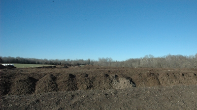 Organic Compost Photo